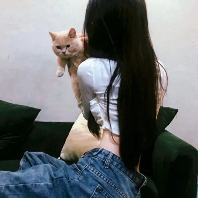 奔驰的大葱