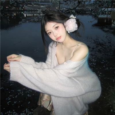 顽皮豹之星
